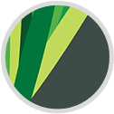 Lowell International Realty Logo