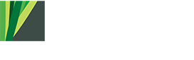 Lowell International Realty Logo